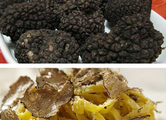 truffe in Ciociaria